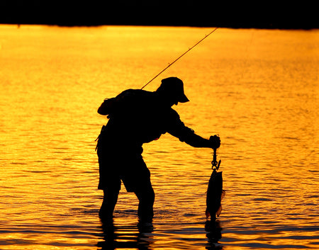 Pesca e Caça